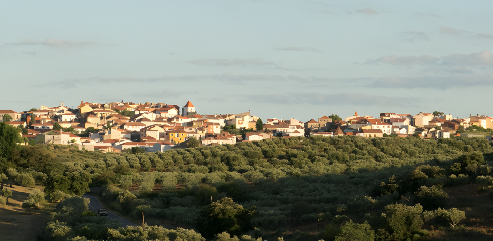 dstelecom expande rede de fibra ótica a 98% do concelho de Alfândega da Fé