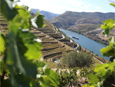 dstelecom_5G_connect