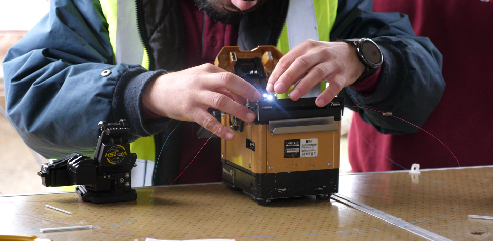 dstelecom quer criar mais de 100 postos de trabalho em 2020